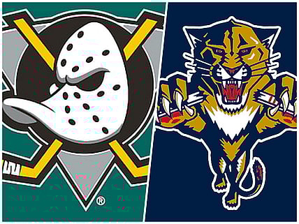 Florida panthers