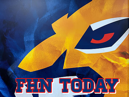 Florida panthers