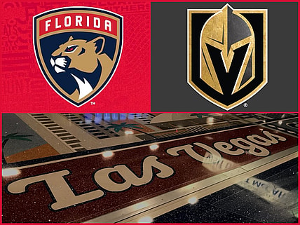 Panthers golden knights
