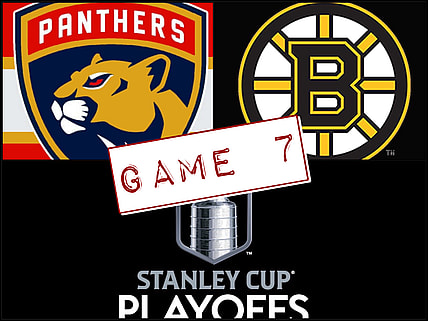 Panthers bruins