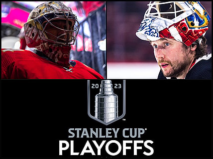 Florida panthers