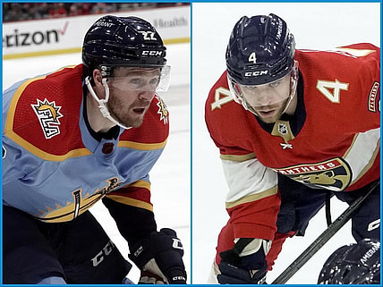 Florida panthers