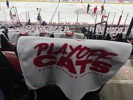 Panthers maple leafs