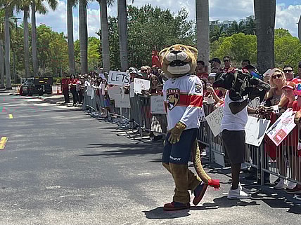 Florida panthers