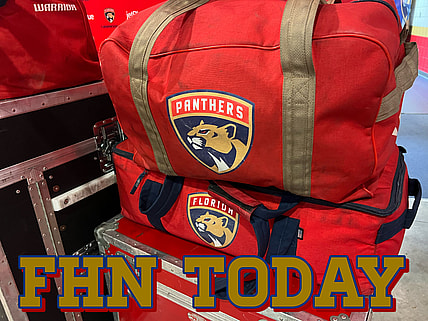 Florida panthers