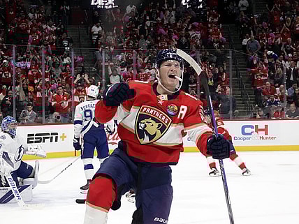 Florida panthers