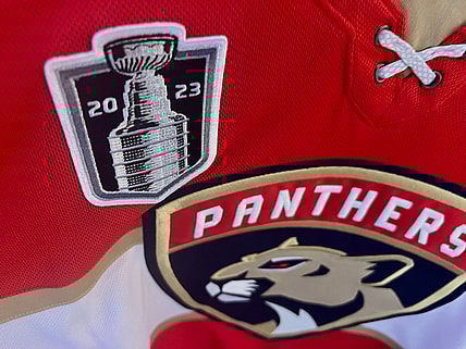 Florida panthers