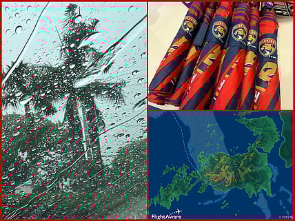 Florida panthers flight