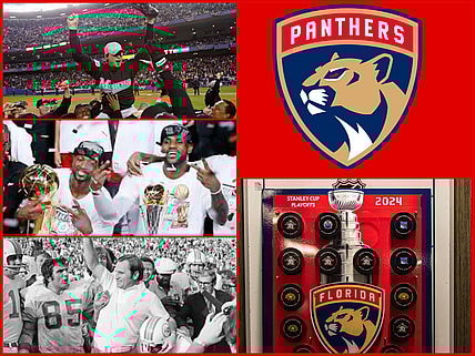 Florida panthers