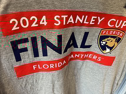 Florida panthers