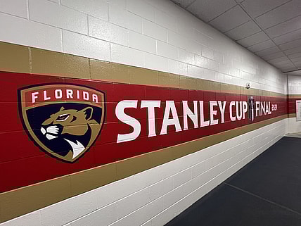 Florida panthers