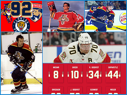 Florida panthers