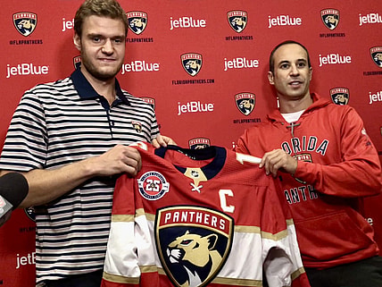 Florida panthers