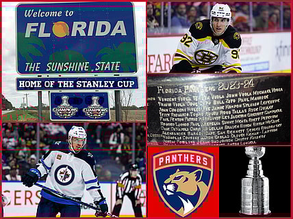 Florida panthers