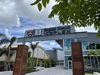 Florida panthers fan