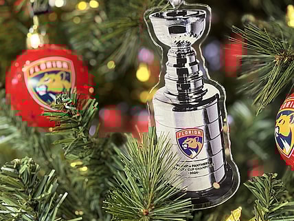 Florida panthers gift