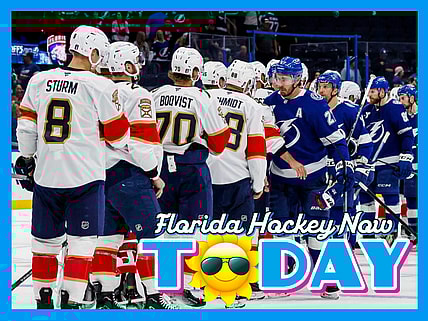 Florida panthers