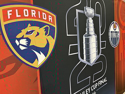 Panthers goal horn cup