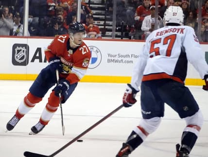 Florida panthers
