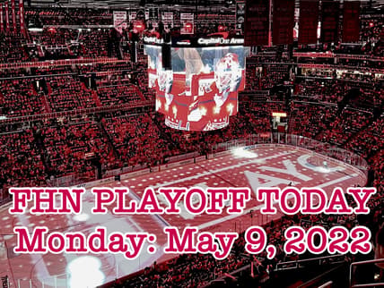 Florida panthers