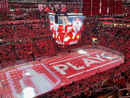 Florida panthers