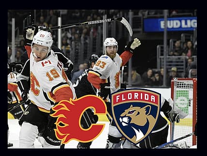 Panthers flames