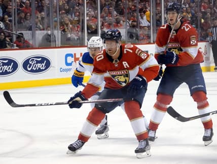Florida panthers