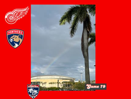 Panthers wings