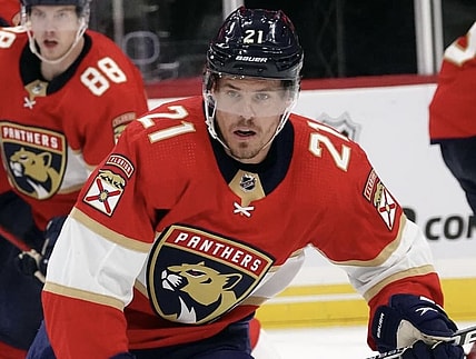 Florida panthers