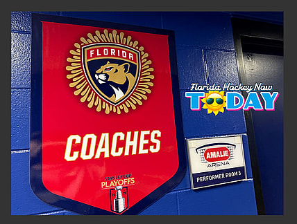 Florida panthers