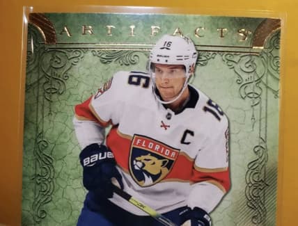 Florida panthers upper deck