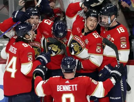 Florida panthers