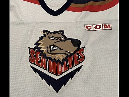 Mississippi hockey history