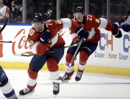 Florida panthers