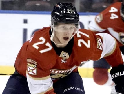 Florida panthers