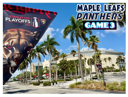 Leafs panthers