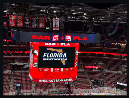 Florida panthers