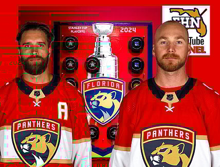 Florida panthers
