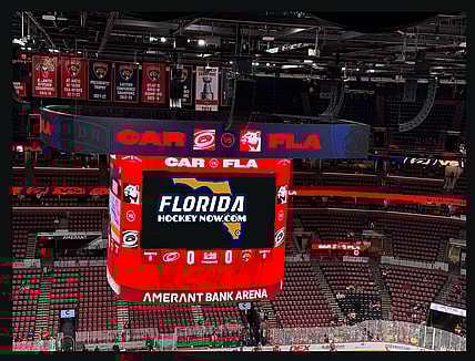 Florida panthers