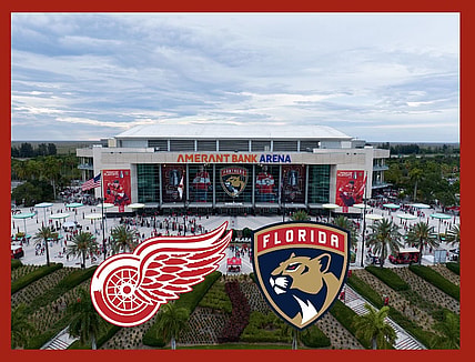 Panthers wings