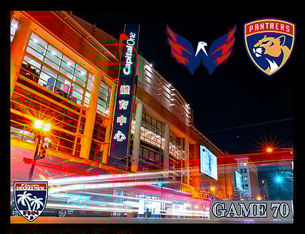 Capitals panthers