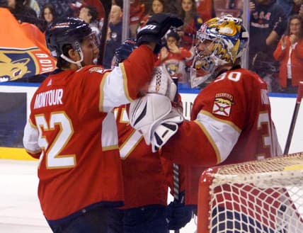 Florida panthers