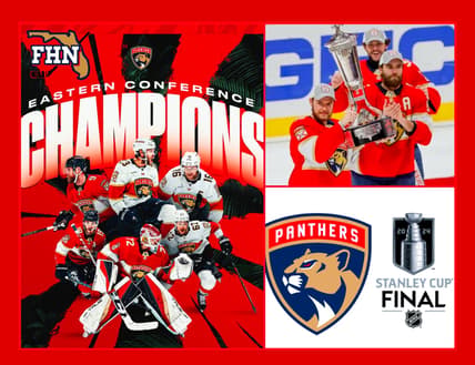Florida panthers