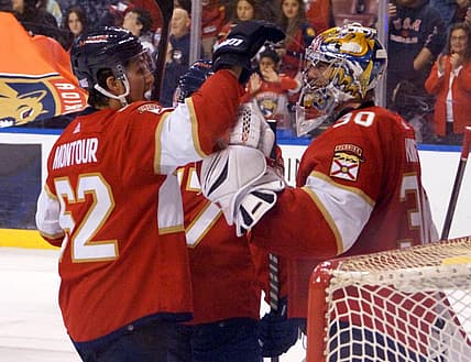 Florida panthers