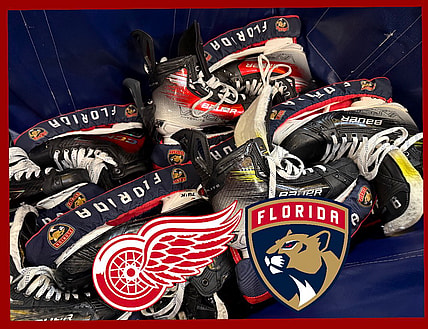 Panthers red wings