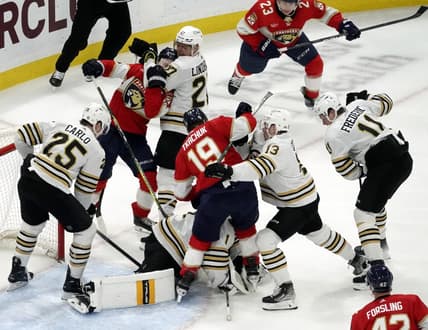 Panthers bruins
