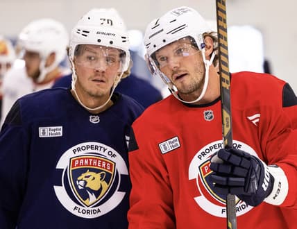Florida panthers
