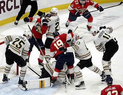 Panthers bruins