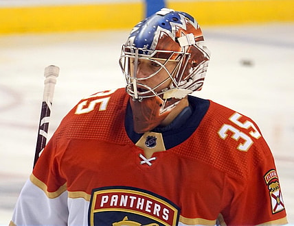 Florida panthers