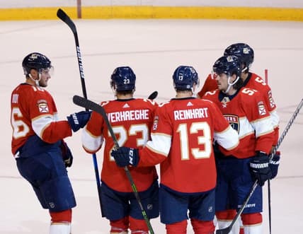 Panthers florida